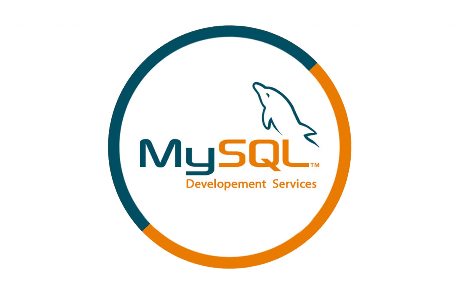 Image 2 du service Marketing